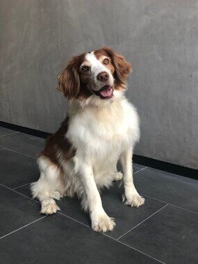 Meet MazMerch